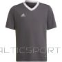 Adidas Футболка Entrada 22 Jsy Jr H57499 (164 см)