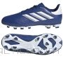 Adidas Predator Accuracy.3 LL FG Jr IF2266 apavi (28)