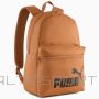 Puma Pleack Phase 091164-18 / brūns