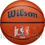 Wilson BASKETBALL JR. NBA AUTHENTIC OUTDOOR SIZE 6