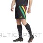 Shorts adidas Fortore 23 M IK5736 (S)