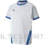 Puma teamGOAL 23 Jersey Jr T-shirt 704160 12 (164cm)