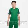 Nike Trophy V JSY Jr T-krekls DR0942-302 (L (147-158cm))