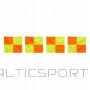 Pennants for corner flags 4 pcs 100859 (N/A)