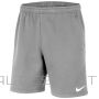 Nike Park 20 Fleece Short CW6910 063 / Pelēka / L