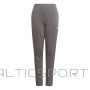 Adidas Tiro 21 Sweat Jr GP8809 bikses (164cm)