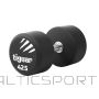 Tiguar PU dumbbell 42.5 kg TI-WHPU0425 (N/A)