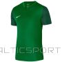 Nike Trophy V JSY M T-krekls DR0933 302 (S)