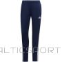 Adidas Pants Tiro 23 League Training W HS3493 (XL)