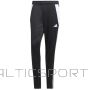 Adidas Tiro 24 Training M P1952 pants (L)