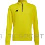 Adidas Толстовка Entrada 22 Training Top Jr HI2133 (128см)
