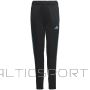 Adidas Tiro 23 Club Training Jr IC1588 pants (164cm)