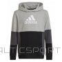 Adidas Colourblock Hoodie Jr HN8563 sporta krekls (128cm)