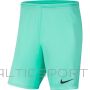 Nike Y Park III Boys BV6865 354 šorti / Zaļa / S (128-137cm)