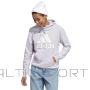 Adidas Big Logo FT R HD Sweatshirt IC6899 / gray / XS
