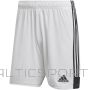 Adidas Tastigo 19 Shorts M DP3247 shorts (S)