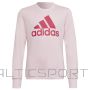 Sweatshirt adidas Big Logo SWT Jr HM8709 (128 cm)