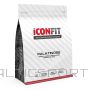 ICONFIT Izomaltuloze (1KG) Palatinose - pure isomaltulose 1kg