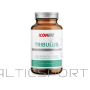 ICONFIT Tribulus (90 kapsulas) Tribulus Terrestris kapsulas testosterona atbalstam