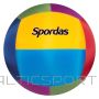 Liela bumba Cage Ball (Omnikin kin-ball replika) 100cm