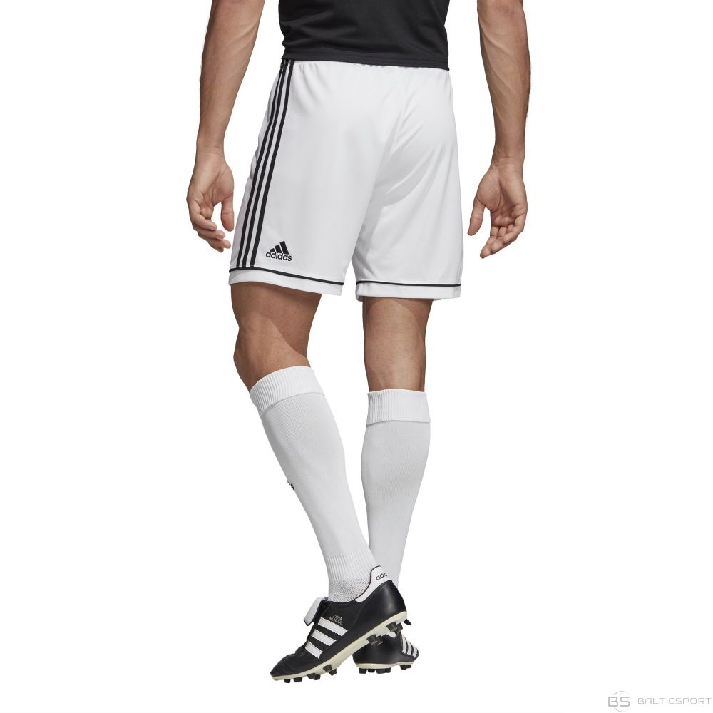Šorti adidas Squadra 17 BJ9227 / Balta / S