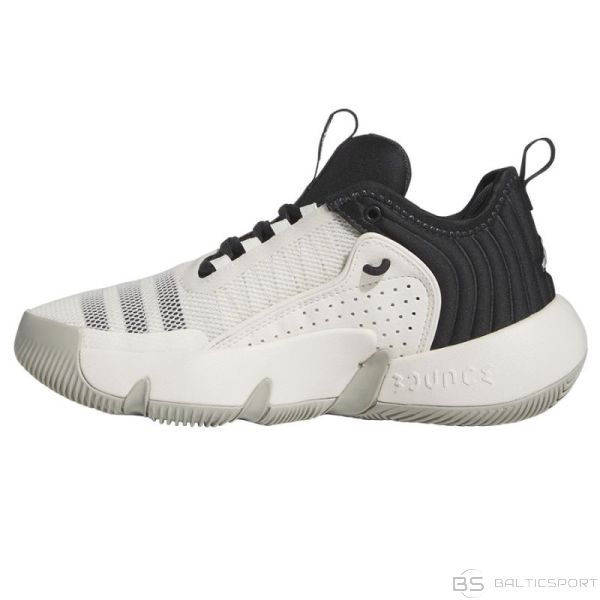 Adidas Trae Unlimited Jr IG0704 basketbola apavi (38)
