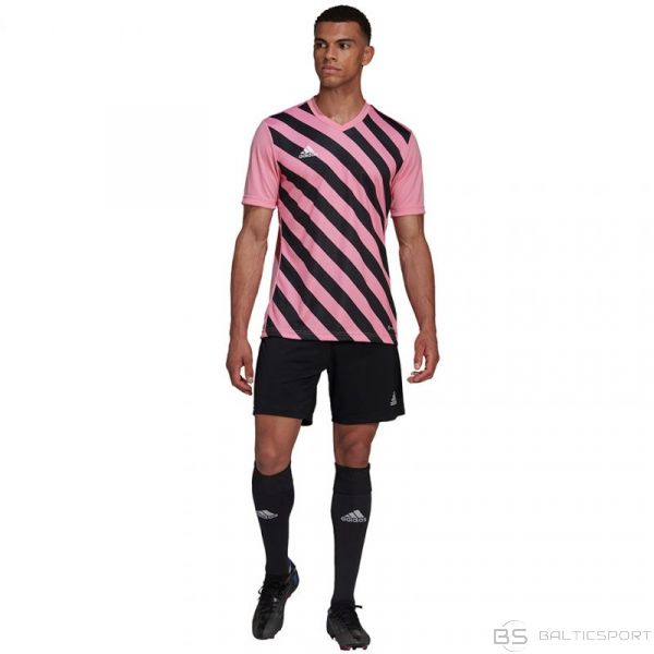 Adidas Entrada 22 Graphic Jersey M HC2633 (L)