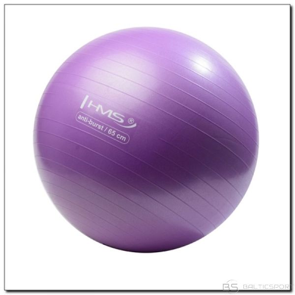 Vingrošanas yogas bumba 65cm violeta Yoga ball 65cm