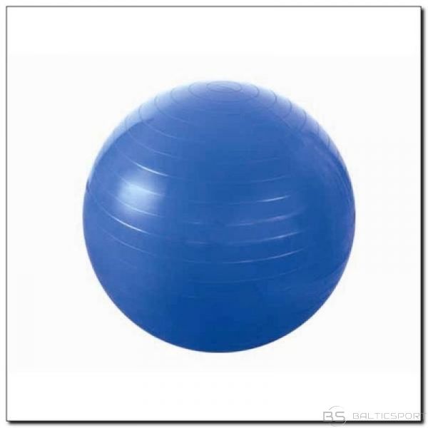 Inny YB01 vingrošanas bumba 55 cm zila (N/A)
