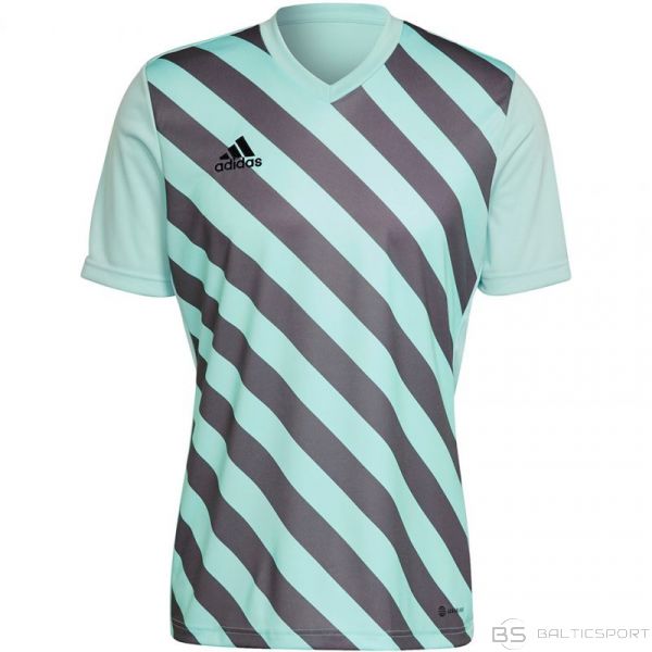 Adidas T-krekls Entrada 22 Graphic Jersey M HF0119 (S)