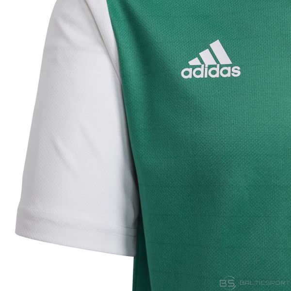 Krekls adidas Estro 19 JSY Y DP3216 / Zaļa / 164 cm