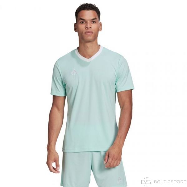Adidas T-krekls Entrada 22 Jersey M HC5073 (L)