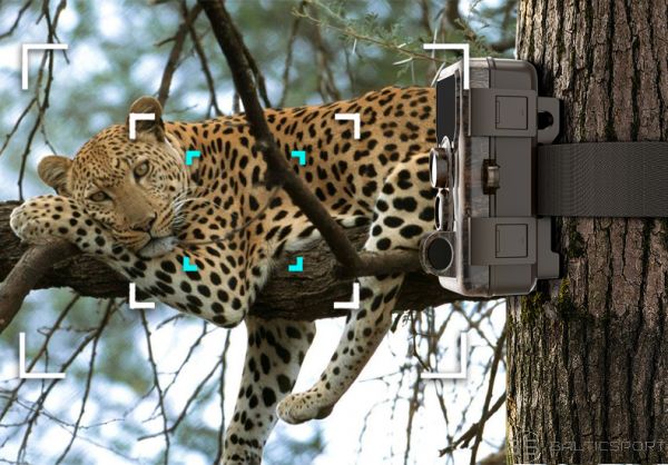 SJCAM M50 woodland green sildumindukcijas mednieku kamera