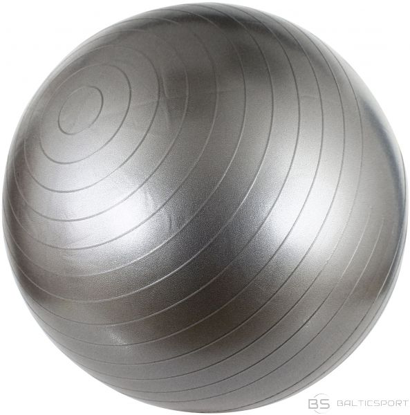 Vingrošanas Bumba / Gym Ball AVENTO 42OC 75cm Silver