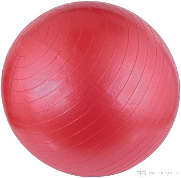 Gym Ball AVENTO 42OA 55cm Pink