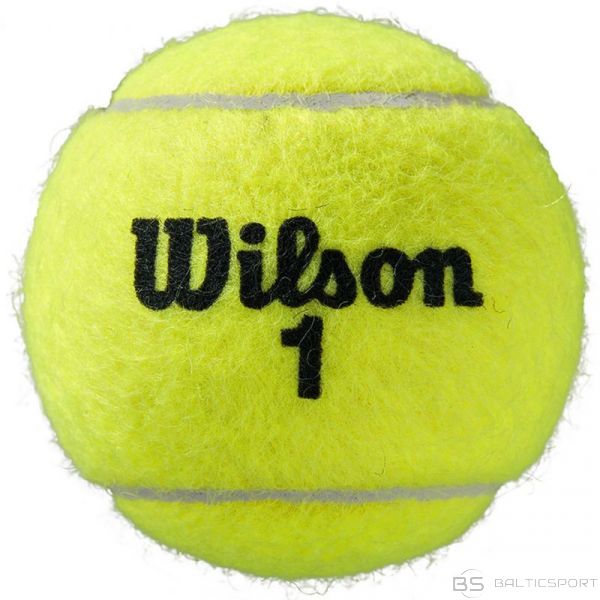 Wilson Roland Garros All Court tenisa bumbiņas, 3 gab. WRT126400 (N/A)