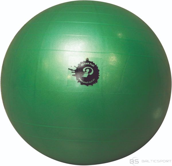 Lielā bumba Poull ball Giant ball 55cm Poull ball spēlei