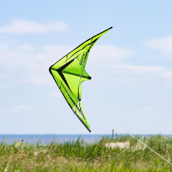 HQ invento Ecoline: Quick Emerald divu auklu gaisa pūķis (102161)
