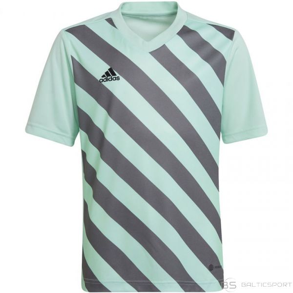Adidas T-krekls Entrada 22 Graphic Jersey Jr HF0127 (116 cm)