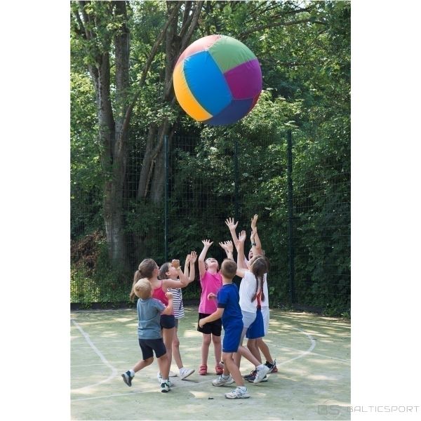 Liela bumba  Cage Ball  (Omnikin kin-ball replika) 100cm