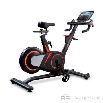 Spineris BH Fitness Osaka