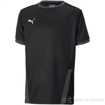 Puma teamGOAL 23 Jersey Jr T-shirt 704160 03 (128cm)
