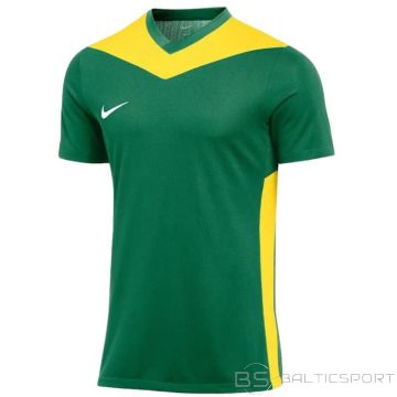 Nike Dri-FIT Park Derby IV Jr T-krekls FD7438-303 (M (137-147cm))