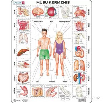 BS Mūsu ķermenis