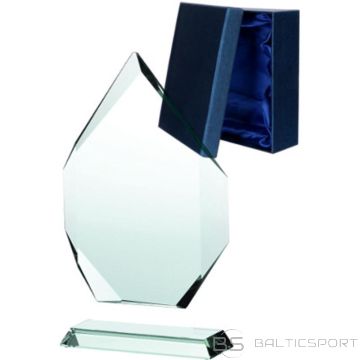 BS Glass trophy with a detached base and case (-)