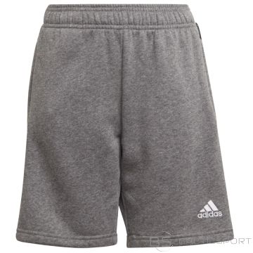 Ātrums Adidas Tiro 21 sviedri īss Junior GP8806 / Pelēka / 128 cm