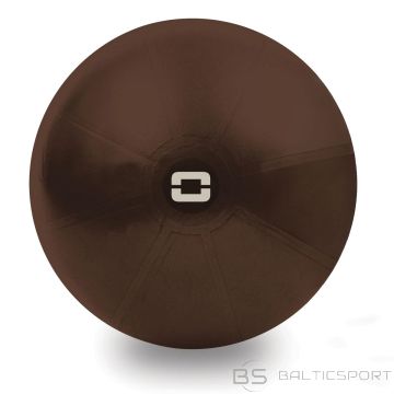 Toorx Liveness Gym ball AYP-003 D75cm with pump