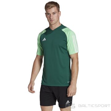 Adidas Tiro 23 Competition T-shirt / green / XS