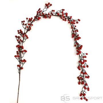 BS SARKANĀS BRAUNEĻU AUGĻU VĪTNĪTE 160 CM (N/A)