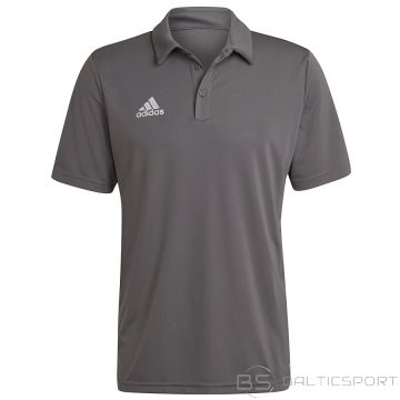 Adidas Entrada 22 Polo H57486 T-krekls / Pelēka / L